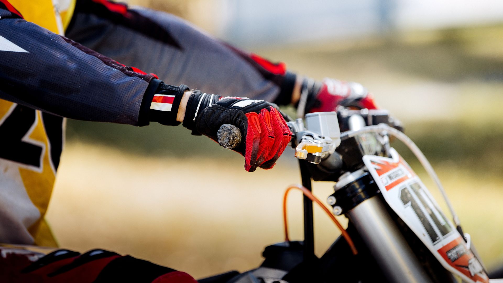 Gloves