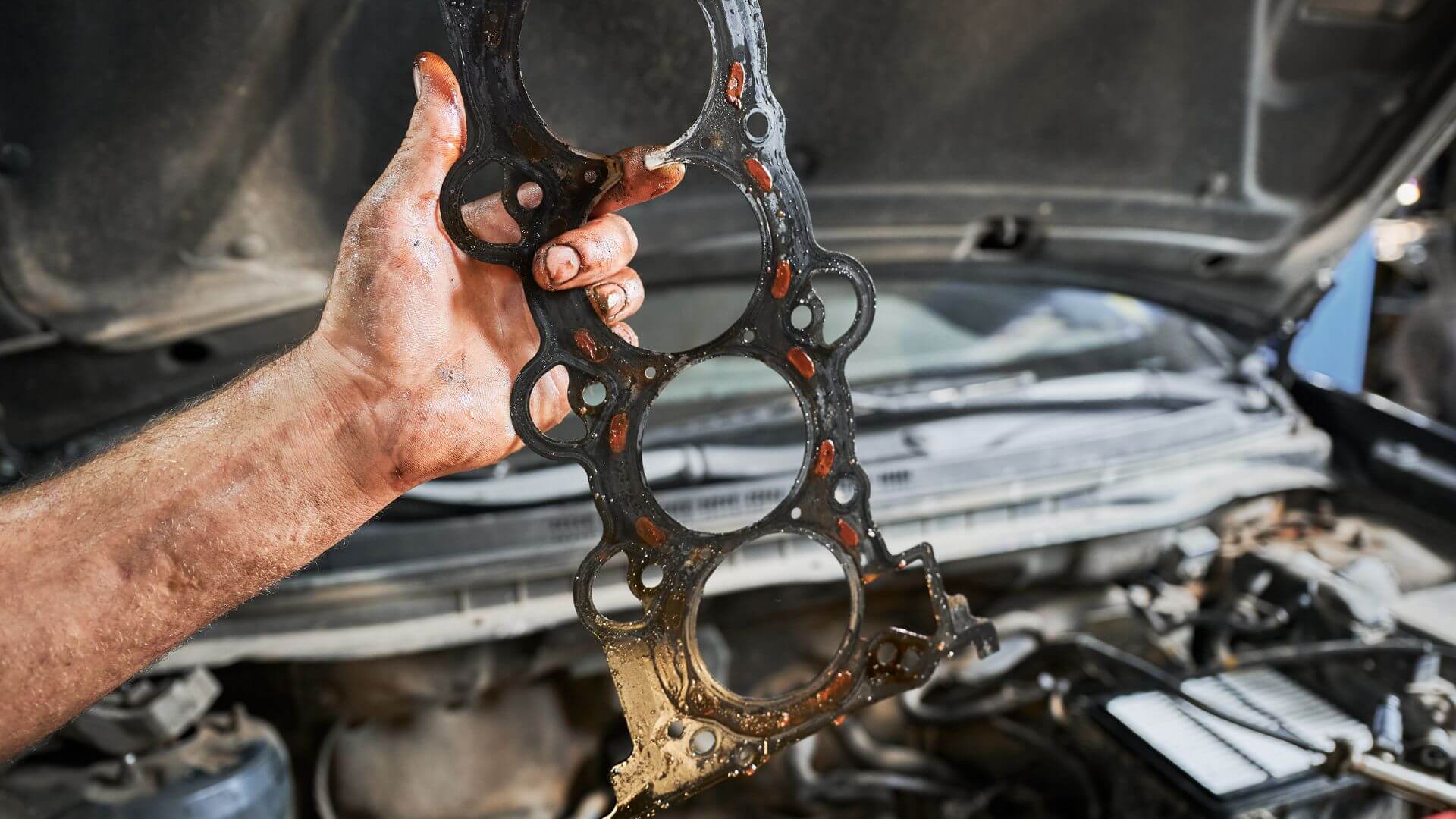 Gasket