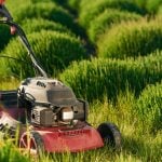 lawn mower maintenance
